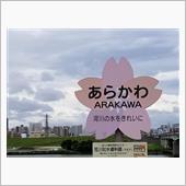 『50年に1度』とか…