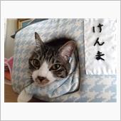 玄関のガラスを割った原因は、 ...