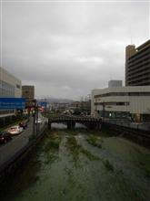 午後から雨が上がったので