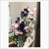 7ヶ月ぶりの　鼻　と　花　と ...