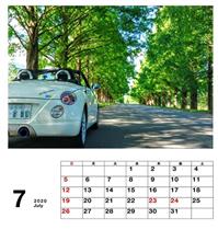 ７月です