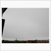 ７月９日　また雨が降ってる木 ...