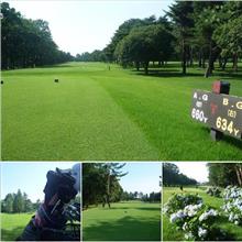 梅雨の晴れ間に のんびり散歩 ＧＯＬＦにならないけど ヤッパいいよね　⛳