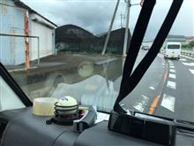 自粛の長雨にて