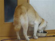 明日17歳　誕生日です