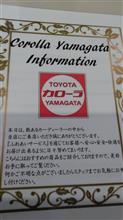 今日はDラー
