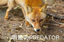 明延のPRETATOR　(捕食者)　