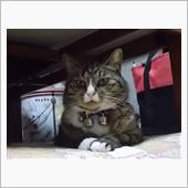 オラの、おもちゃ、、