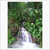 Water Fall