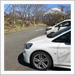 田貫湖お散歩🚶‍♂️ 〜 春の目覚め🌼と富士山🗻