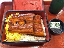 なか卯　特うな重