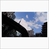 ムシムシ日曜日でした(^-^;