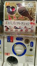 雀と文鳥コレクション  全6種