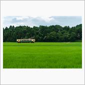 日曜日の写活