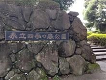 ♪ヨコハマ・チークよりも