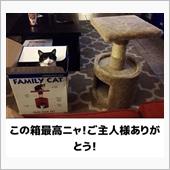 カンペキ！！・・多分笑。。。 ...