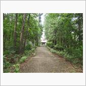 熊野那智神社。