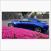 RX-8と遊ぶ　久しぶりだねぇ