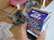 朝のカツゲン！