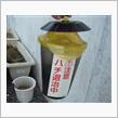 ハチ・ホイホイ？（虫嫌いの方は閲覧注意）