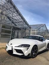 スイーツ倶楽部メロン狩りTRG＆少しだけオープンカー倶楽部オフ