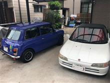 ウチの次男坊の養子縁組が決まり