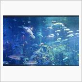 二見浦・鳥羽水族館