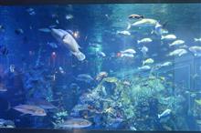 二見浦・鳥羽水族館