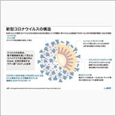 「GoTo」事業、予定通り開 ...