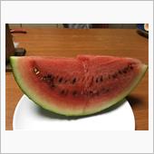 初西瓜🍉