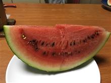 初西瓜🍉