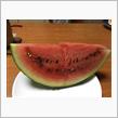 初西瓜🍉