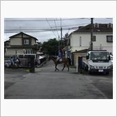 お散歩コース？
