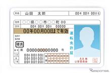 無念の青色免許証