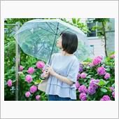 雨、早く止まないかな？