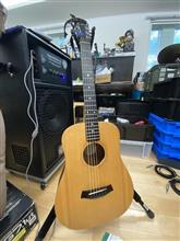 Baby Taylor ベビーテイラー 301-GB買いました！