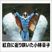 ボクのゲレンデ遍歴　③。。。 ...