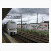 日帰り