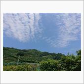 晴れの日曜日