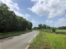 秋ヶ瀬公園は長い閉鎖から復活してます