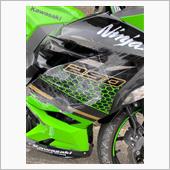 甥のNinja250完成！