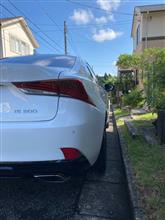 久しぶりにワックスかけました