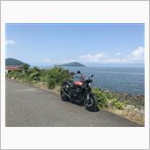 蒸し暑い、でも天気いい