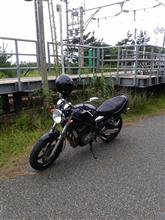 バン、咲きました。