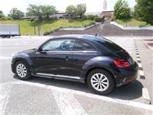 Ｂｅｅｔｌｅ　イジり進捗率