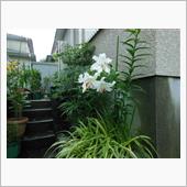 ひさびさの