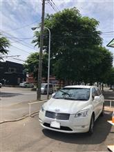 樹液との戦い✊️(樹液除去洗車) 