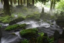 鳥海山の美しく豊かな伏流水と今が旬♪吹浦の天然岩ガキを求めて山形・秋田(*&#180;ω｀*)♪