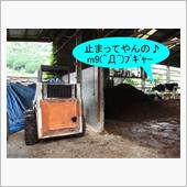 まさかの梗塞！　(ノ;&#180;Д` ...