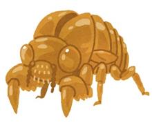 そういうこともある